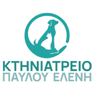 Παύλου Ελένη | Συνεργάτες Craftery Digital Services
